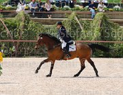 DE RISIO IRWIN CampITA2013- S5 0249 : Campionati Italiani 2013, Cattolica, DE RISIO DANIELA, E.H. IRWIN LIZZY, Horse Riviera Resort, foto di Stefano Secchi ©